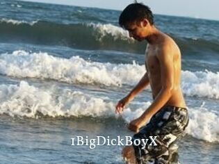 1BigDickBoyX