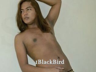 1BlackBird