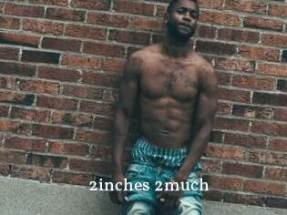 2inches_2much