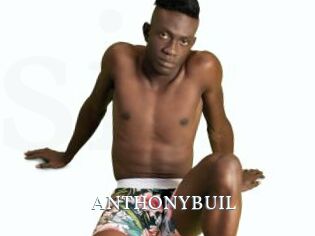 ANTHONYBUIL
