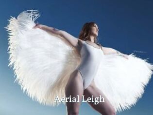 Aerial_Leigh