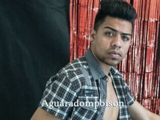 Aguaradompoison SexyIdol