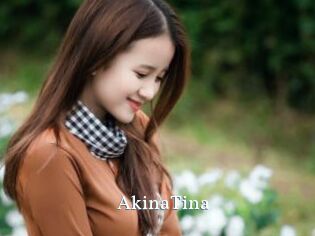 AkinaTina