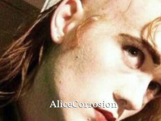 AliceCorrosion