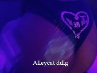 Alleycat_ddlg