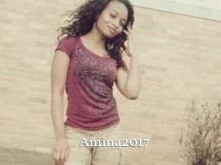 Amina2017