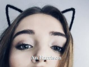 An_Harrison