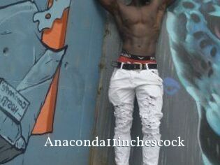 Anaconda11inchescock