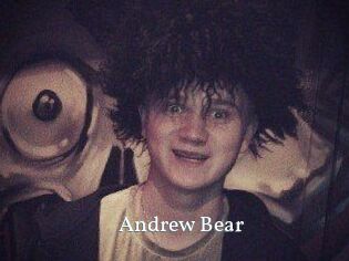Andrew_Bear