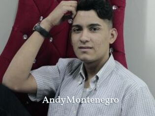 AndyMontenegro
