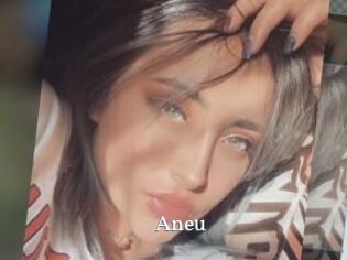 Aneu