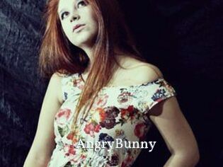 AngryBunny