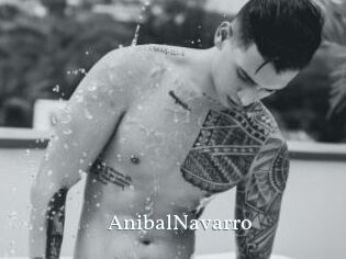 AnibalNavarro