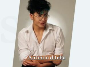 Antinoo_ditella