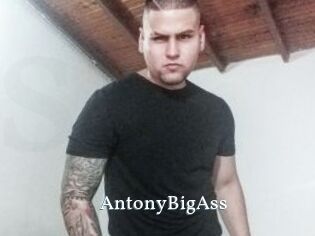 AntonyBigAss