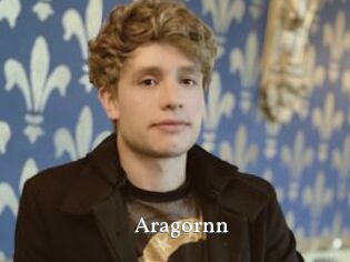 Aragornn