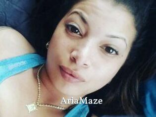 Aria_Maze