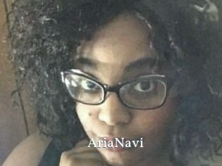 AriaNavi