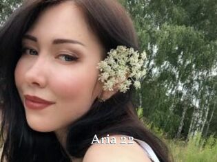 Aria_22