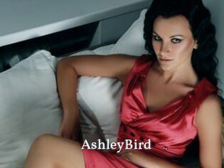 AshleyBird SexyIdol