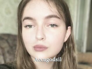 Accagodsil