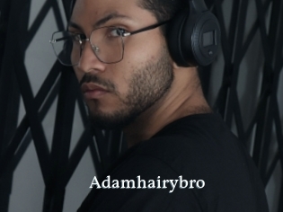 adamhairybro SexyIdol
