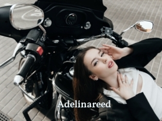 Adelinareed