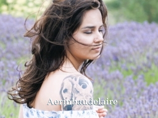 Aerinbaudelaire