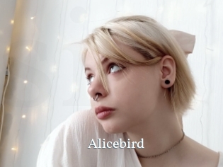 Alicebird