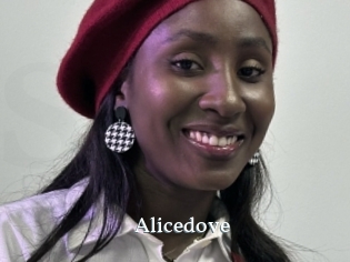 Alicedove