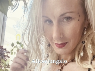 Alicesjungalo