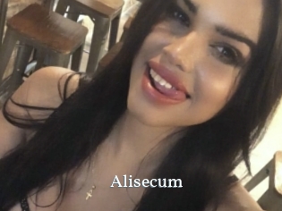 Alisecum