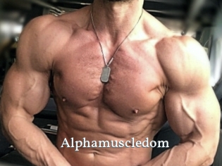 alphamuscledom SexyIdol
