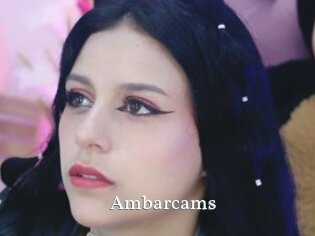 Ambarcams