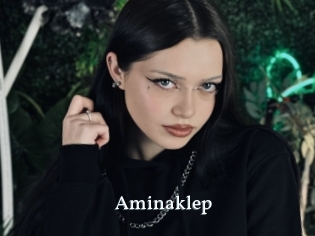 Aminaklep