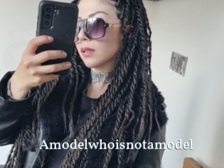 Amodelwhoisnotamodel