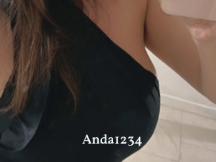 Anda1234