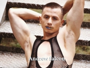 Andrew_falcon