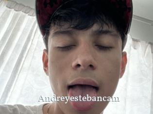 Andreyestebancam