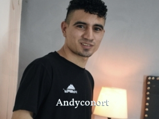 Andyconort