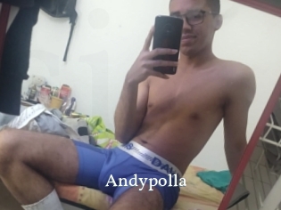 Andypolla