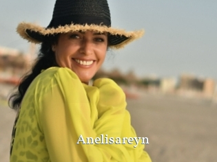 Anelisareyn