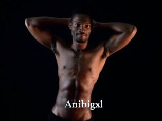 Anibigxl