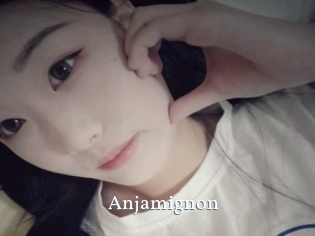 Anjamignon