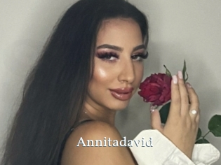Annitadavid