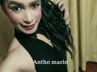 Antho_marin