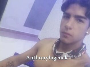 Anthonybigcock