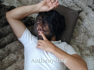 anthonyding SexyIdol