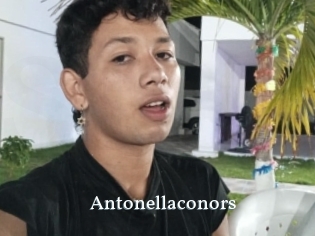 Antonellaconors