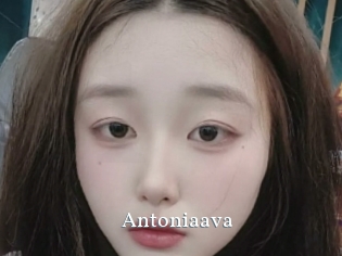 Antoniaava